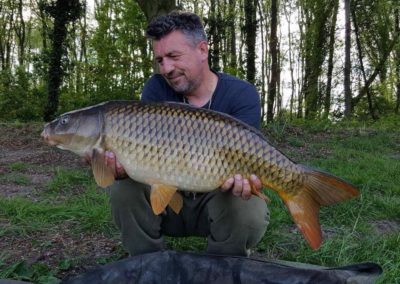 Boilies