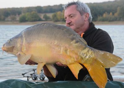 Franse spiegelkarper