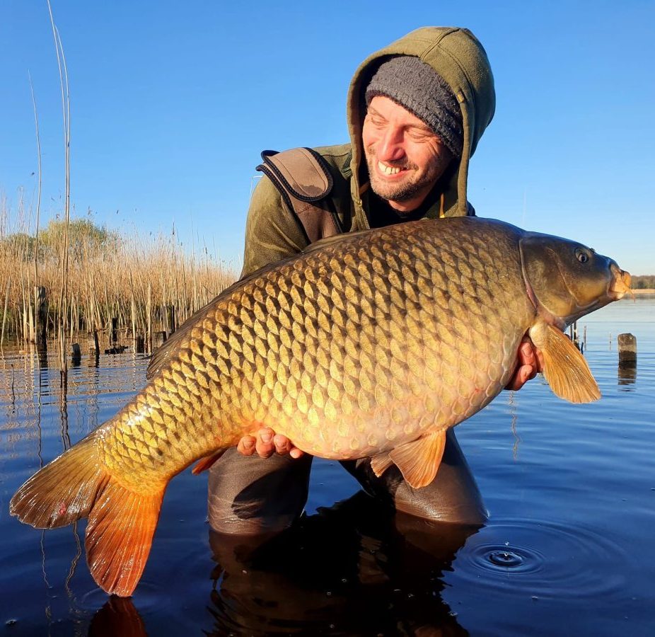 Red Squid Fully Loaded - Afbeelding 2