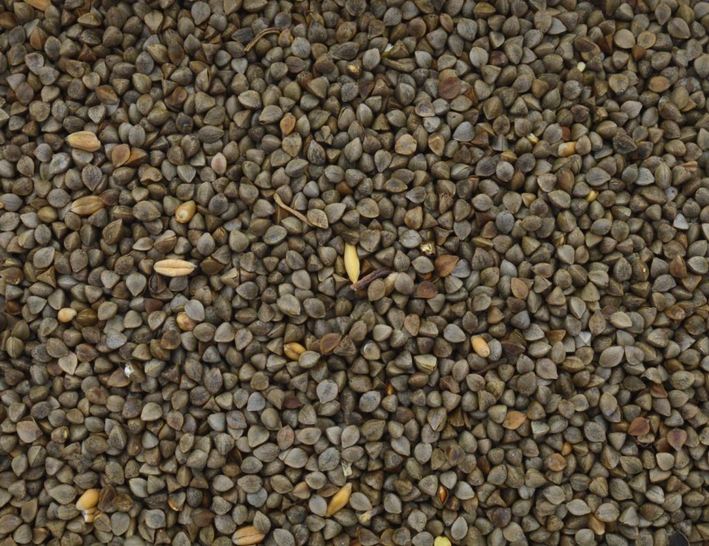 The Baits - Boekweit, ongepeld - 20kg