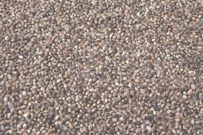 The Baits - Franse Hennep - 15kg