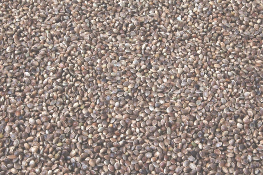 The Baits - Franse Hennep - 15kg